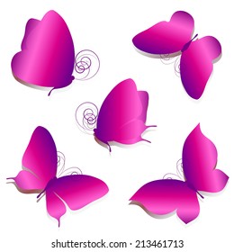 butterflies design