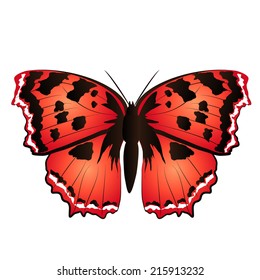 butterflies design