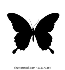 butterflies design