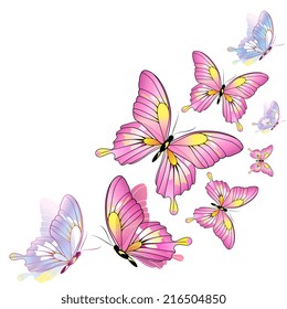 Color Beautiful Butterflies Isolated On White Stock Vector (Royalty ...