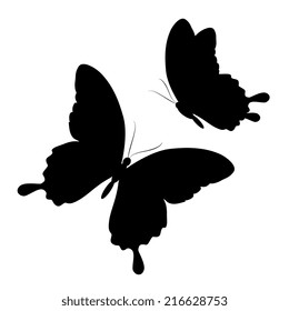 butterflies design