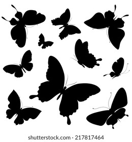 butterflies design