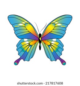 butterflies design