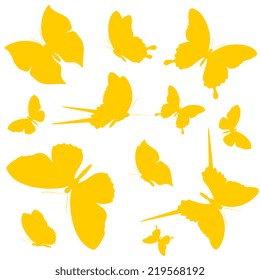 butterflies design