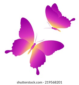 butterflies design