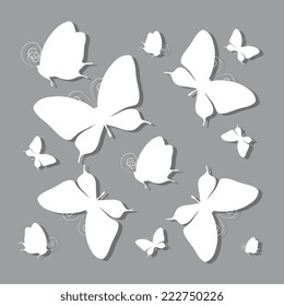 butterflies design