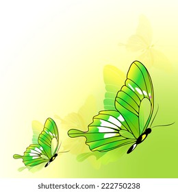 butterflies design