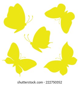 butterflies design