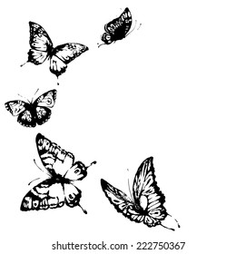 butterflies design