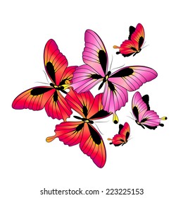 butterflies design