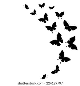 butterflies design