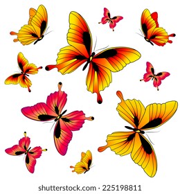 butterflies design