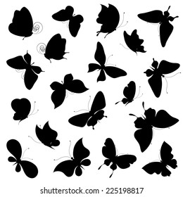 butterflies design