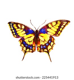 butterflies design