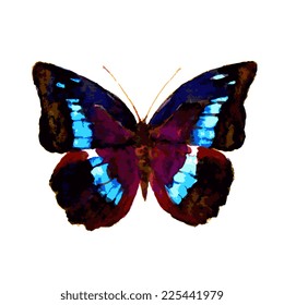 butterflies design