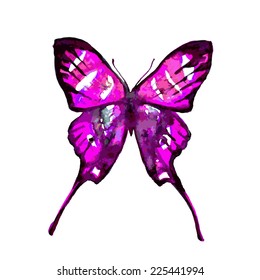 butterflies design