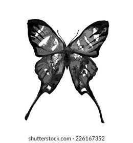 butterflies design
