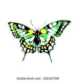 butterflies design