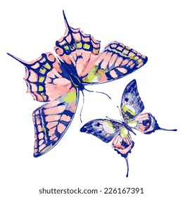 butterflies design