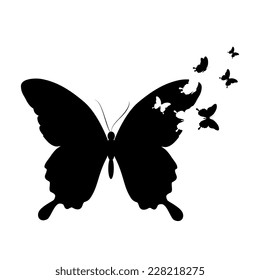 butterflies design