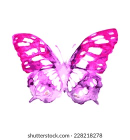 butterflies design