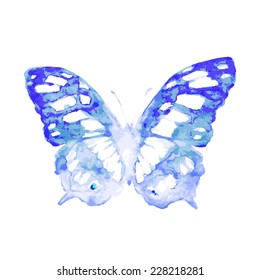 butterflies design