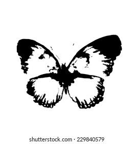 butterflies design