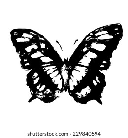 butterflies design