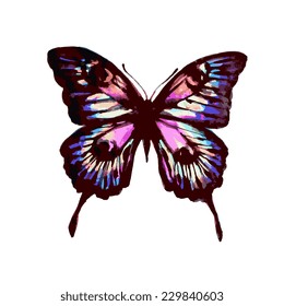 butterflies design