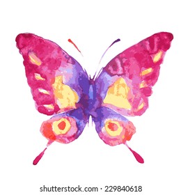 butterflies design