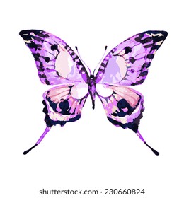 butterflies design