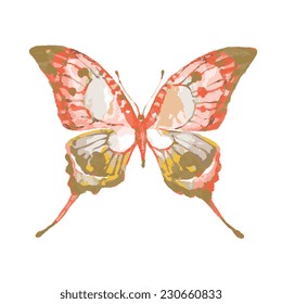 butterflies design
