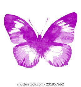 butterflies design