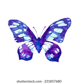 butterflies design