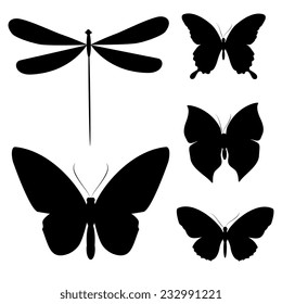 butterflies design