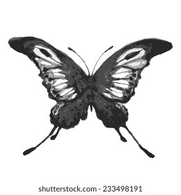 butterflies design