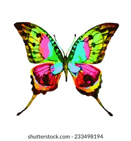 butterflies design