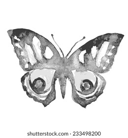 butterflies design