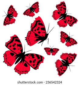butterflies design