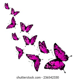 butterflies design