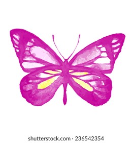 butterflies design