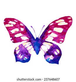 butterflies design