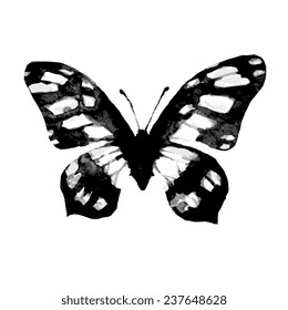 butterflies design