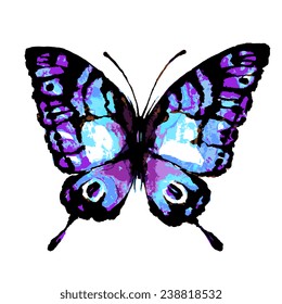 butterflies design
