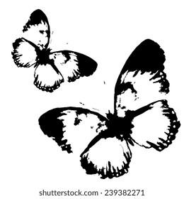 butterflies design