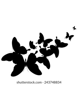 butterflies design