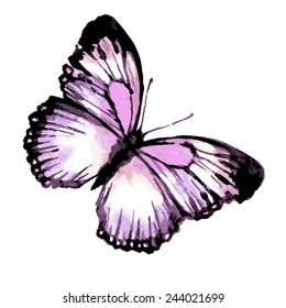 butterflies design