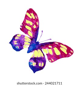 butterflies design