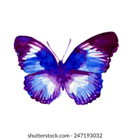 butterflies design