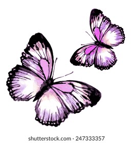 butterflies design